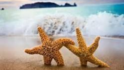 Starfish on Beach : New Relationships with God, Self, Others