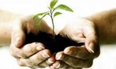 Seedling in Hands : Spiritual Growth Opportunities