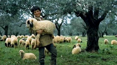 The Care of Souls: A Young Shepherd with a Lamb