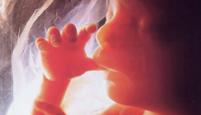 New Life in the Womb : Who We Now Are as New Creations